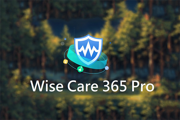 Wise Care 365 Pro v7.3.5 精简优化版绿色单文件版-嘉燊科技